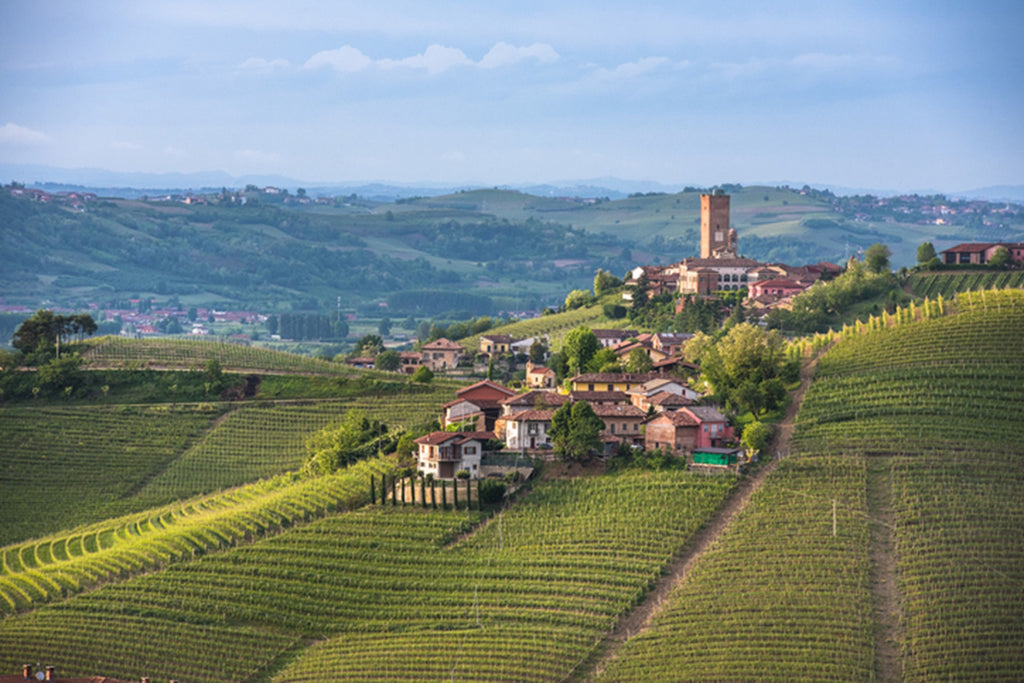 Regional Italian Cuisine: A Journey Through Italy's Culinary Heritage